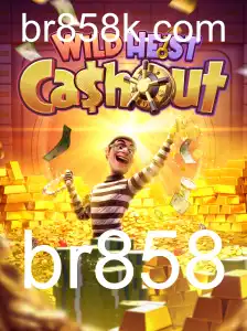Descubra o Fascinante Mundo de WildHeistCashout